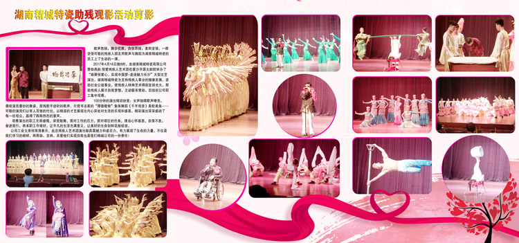 湖南银娱优越会赞助燕赵·恒爱残疾人艺术团圆满演出