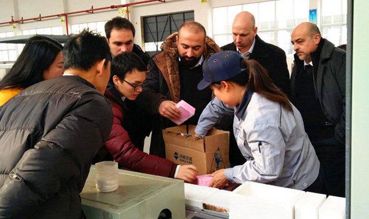 银娱优越会·GEG(中国)有限公司官网